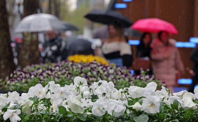 19일 전국이 대체로 흐리고 따뜻한 날씨가 이어지며 비가 내릴 전망이다. 사진은 지난 14일 서울 강남구 테헤란로의 모습. /사진=뉴시스