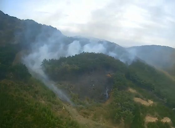 충남 서천군 비인면 야산에서 일어난 산불이 1시간19분만에 진압됐다. 사진은 19일 충남 서천군 비인면에서 산불이 나 하얀색 연기가 피어 오른 모습. /사진=뉴시스(산침청 제공) 