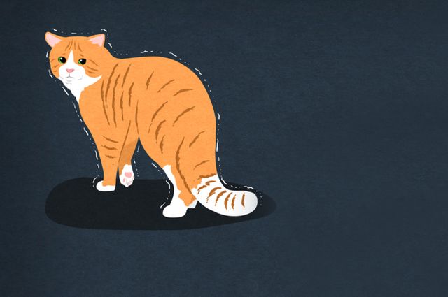 무허가 공지총으로 들고양이를 쏜 60대가 항소심 공판에서도 징역형 집행유예를 선고받았다. 사진은 기사내용과 무관함. /삽화=이미지투데이