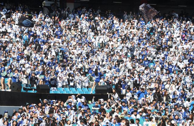 대구경찰청은 19일 올해 프로야구 개막에 따른 암표 행위를 단속하기 위한 전담수사팀을 운영한다고 밝혔다. 사진은 대구 삼성라이온즈파크에서 열린 프로야구 '2025 신한 SOL 뱅크 KBO 리그' SSG 랜더스와 삼성 라이온즈의 시범경기. /사진=뉴스1