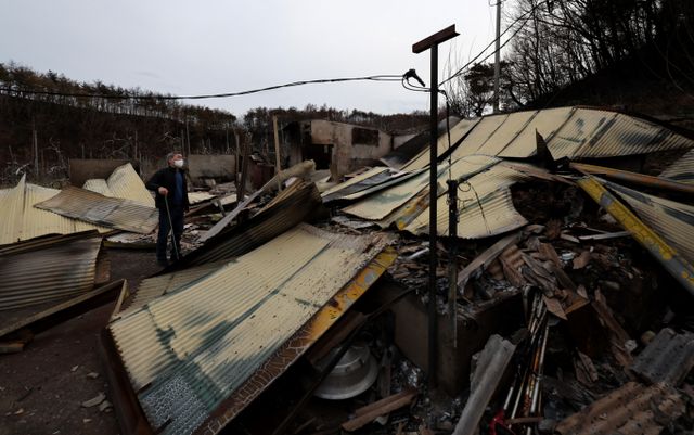 31일 경북 청송군 진보면 후평리에서 산불 피해 주민이 전소된 집을 살펴보고 있다. / 사진=뉴시스 이무열 기자