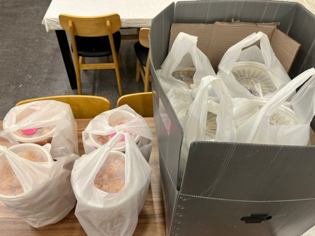 보양식 식당사장이 75만원 노쇼 피해를 당했다고 토로했다. /사진='아프니까 사장이다' 커뮤니티 캡처