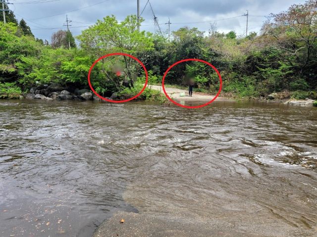 제주에서 고사리를 꺾던 일행이 하천에 고립되는 사고가 일어났다. 사진은 22일 제주 해안동 광령천에서 고사리를 꺾던 일행 8명이 폭우로 불어난 하천에 고립된 모습. /사진=뉴시스(제주소방안전본부 제공)