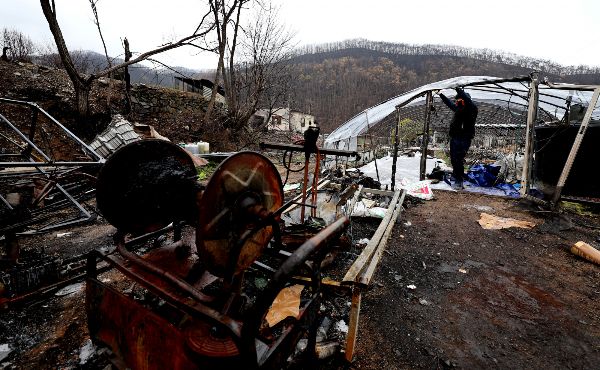 경북 산불 피해 성금이 1486억원 모였지만, 아직 성금이 집행되지 않았다. 사진은 지난 14일 경북 안동시 임하면 추목리 한 농가에서 산불 피해를 입은 주민이 비닐하우스를 살펴보고 있는 모습. /사진=뉴시스