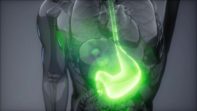 위식도 역류질환 치료제 시장이 P-CAB 중심으로 재편되면서 제약사들이 공동판매로 시장 확대에 나섰다. 사진은 기사 내용과 무관함. /사진=이미지투데이