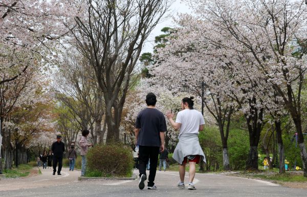 23일은 전국이 맑고 따뜻한 봄날씨를 보이겠다. 사진은 최고기온이 25도까지 오르는 등 초여름 날씨를 보인 지난 17일 오후 벚꽃이 활짝 핀 경기도 고양시 일산호수공원에서 반팔티와 반바지 등 가벼운 옷차림의 시민들이 산책을 하고 있는 모습. /사진=뉴스1