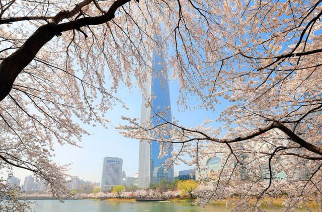 롯데그룹이 일부 계열사에 '직무 기반 인사(HR)제도'를 순차 도입한다. /사진=롯데