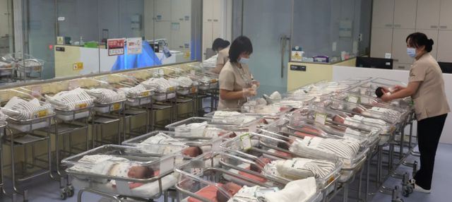 2월 출생아 수가 11년 만에 전년 대비 증가세를 기록하며 8개월째 증가세를 이어가고 있다. 2월 혼인 건수 역시 2017년 이후 최대치를 기록하는 등 2023년 이후 꾸준히 늘고 있어 당분간 출생아 수 증가세에도 긍정적인 영향을 미칠 것으로 보인다. 사진은 지난 2월 26일 인천 미추홀구 아인병원 신생아실에서 간호사들이 신생아들을 돌보고 있는 모습. /사진=뉴시스