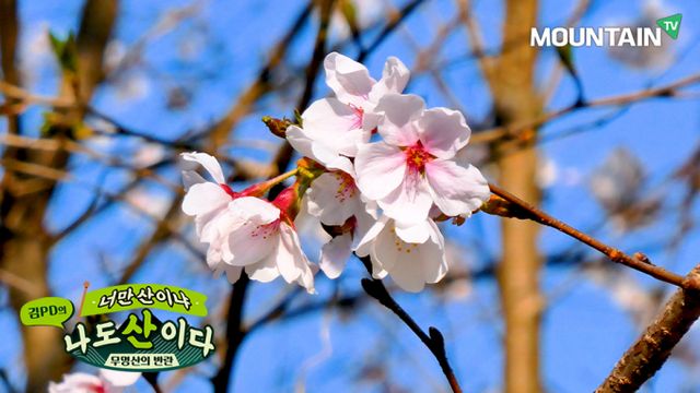 마운틴TV '너만산이냐 나도 산이다'에서 소개하는 봄 산행지로 산행을 떠나보는 것을 추천한다. /사진=마운틴TV 제공