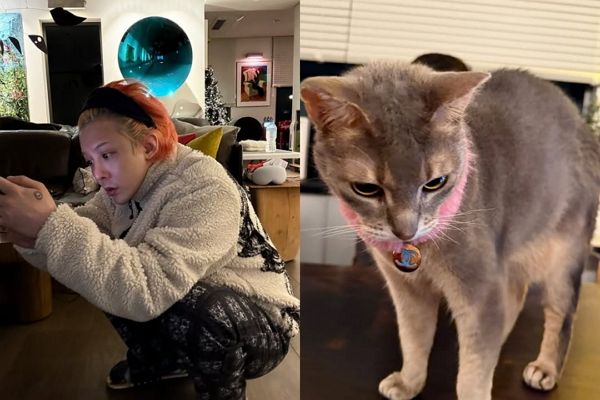 빅뱅 지드래곤과 애프터스쿨 출신 배우 이주연이 또 한번 열애설에 휩싸였다. 사진은 지드래곤이 집에서 촬영한 자신의 모습과(왼쪽) 지드래곤 반려묘 모습. /사진=지드래곤 인스타그램 캡처