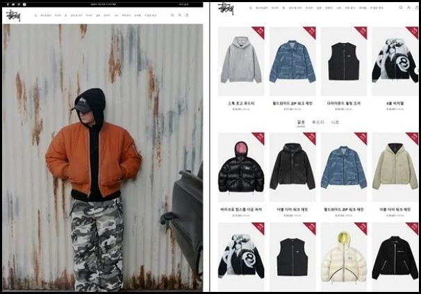 유명 패션 브랜드 사칭 사이트로 유인해 상품을 결제하게 한 후 물품을 발송하지 않아 사기를 당한 피해자가 늘고 있다. 사진은 스투시 사칭 사기 사이트 화면. /사진 제공=서울시
