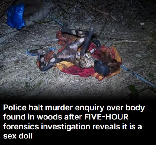 숲속에 불에 탄 시신을 수사 하던 경찰이 뒤늦게 성인용품인 리얼돌임을 알아채고 수사를 중단했다. 사진은 독일 경찰차의 모습. /사진=로이터