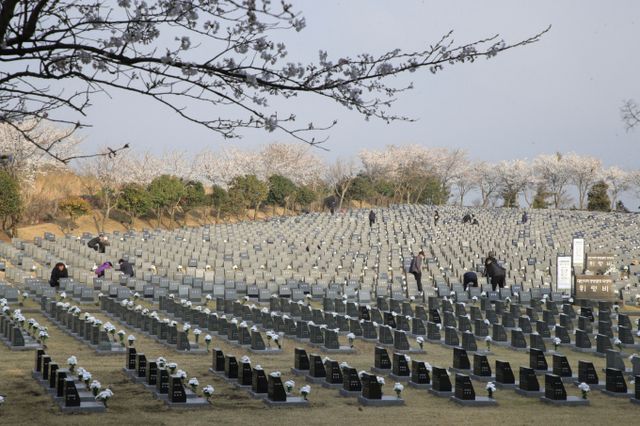 오는 9일(현지시각)에서 15일까지 프랑스 파리 국제대학촌 한국관에서 '진실과 화해에 관한 기록' 전시가 열린다. 사진은 3일 제77주년 4·3희생자 추념식 봉행에 앞서 제주시 봉개동 제주4·3평화공원 행방불명인 묘역에서 유족들이 희생자의 넋을 기리는 모습. /사진=뉴스1 