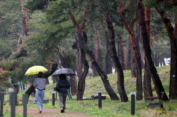 1일 전국 대부분 지역이 흐리고 비가 내릴 예정이며 일부 지역은 돌풍과 벼락이 동반되겠다. 사진은 경기 수원시 장안구 노송지대에서 시민들이 우산을 쓰고 지나가는 모습. /사진=뉴스1