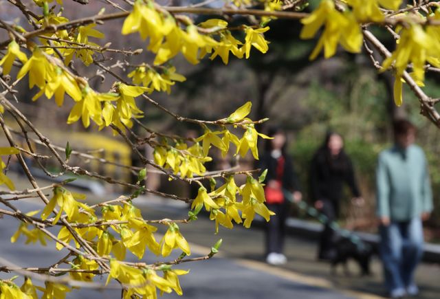 오는 7일 전국 낮 기온이 20도 안팎까지 오르며 따뜻할 전망이다. 사진은 6일 서울 중구 남산 산책로의 모습. /사진=뉴시스