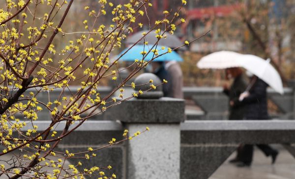 9일 낮 최고 기온이 22도까지 올라가는 등 따뜻한 봄 날씨가 이어지겠으나 전국적으로 봄비가 내리겠다. 봄비가 내리는 서울 종로구 청계천에서 시민들이 발걸음을 옮기는 모습. /사진=머니투데이