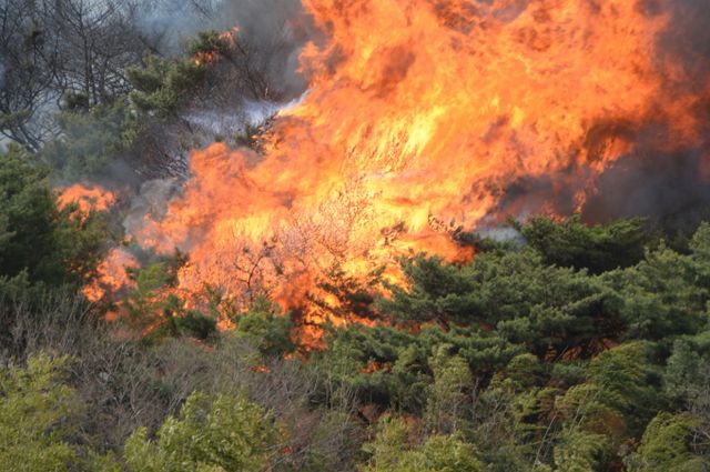 울산 울주군 언양읍 화장산에서 발생한 대형 산불 원인이 용접작업 중 발생한 것으로 파악됐다. 사진은 지난달 25일 울산 울주군 언양읍 화장산 일원에서 일어난 산불 현장. /사진=뉴시스