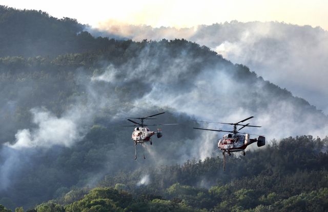 최근 큰 불을 겪은 대구 지역에 비 소식이 예보됐다. 사진은 산불이 났던 대구 북구 함지산/사진=뉴시스