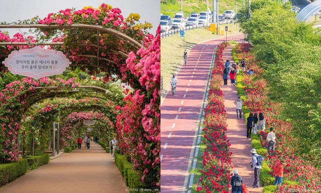 로맨틱한 장미터널이 있는 서울 중랑천. /사진=한국관광공사