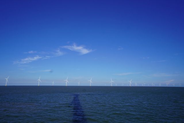  100MW 규모 사이트에 위치한 대형 터빈들이 가동되는 모습. /사진=SK이노베이션