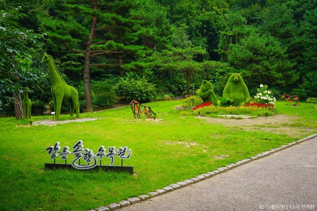 23개 테마와 22만본의 식물로 조성된 강릉솔향수목원. /사진=한국관광공사