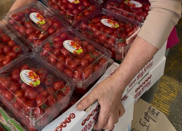 경동시장 한 상인이 과일을 쳐다보고 그냥 갔다는 이유로 손님에게 욕을 했다. 사진은 사연을 전한 작성자가 공유한 경동시장 과일가게 상인의 모습. /사진=온라인 커뮤니티 캡처