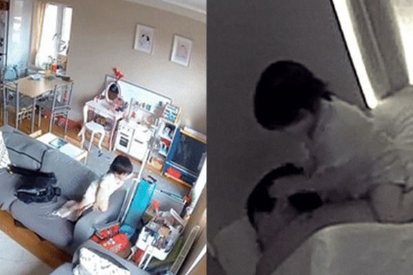 2세 아이가 저혈당 발작으로 정신을 잃은 자신의 아버지를 구했다. 사진은 (왼쪽) 쓰러진 아버지를 보고 약을 챙겨 오는 자브(2)의 모습. (오른쪽) 쓰러진 아버지 임만 디메길로와 자브(오른쪽)의 모습. /사진=틱톡 영상 갈무리