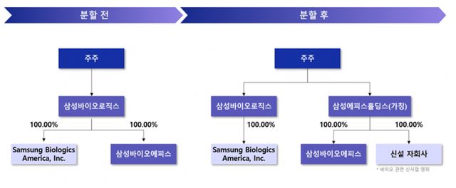 삼성바이오로직스가 바이오의약품 위탁개발생산(CDMO) 사업과 바이오시밀러·신약개발 사업을 분리하기 위해 인적분할을 단행, '삼성에피스홀딩스'를 설립한다. 삼성바이오로직스 분할 전후 지배구조. /자료=삼성바이오로직스