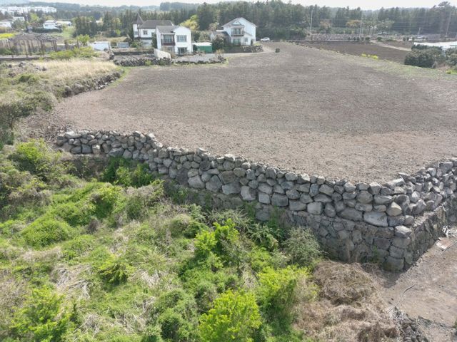 '위파크 제주' 공사장에서 토사가 대량으로 불법 반출된 사건이 일어났다. 사진은 과수원으로 불법 반출된 토사의 모습./사진=제주도자치경찰단