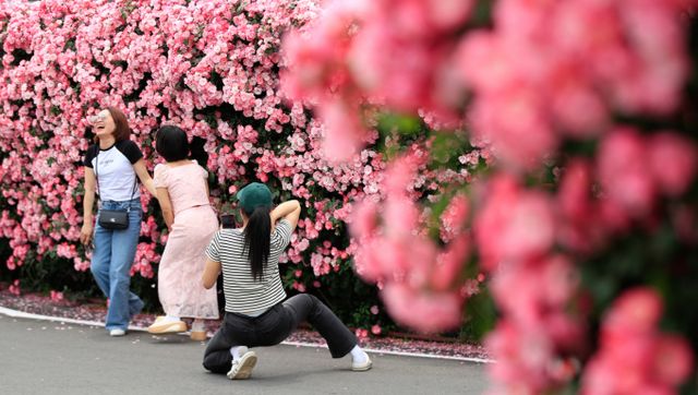오는 31일 전국이 맑은 초여름 날씨가 이어질 전망이다. 사진은 지난 28일 제주 서귀포시 예래동의 모습. /사진=뉴시스