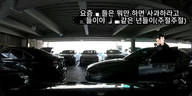 기어 중립을 하지 않고 차량을 2중 주차한 택시 기사가 이동을 요구한 여성 운전자에게 욕설을 날렸다. 사진은 지난 2일 한 온라인커뮤니티에서 화제가 된 주차 시비 영상 중 일부. /사진=온라인커뮤니티 캡처