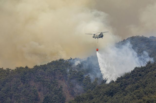 강원도 평창군 대관령면의 한 주택에서 일어난 화재가 산불로 번졌다. 사진은 기사 내용과 관련 없음. /사진=이미지투데이