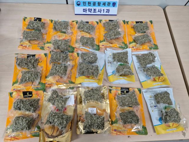 7일 인천공항본부세관이 태국산 건망고 제품처럼 포장한 대마초 3.1㎏을 국내로 밀반입하려던 태국 국적 남성 2명을 구속했다고 밝혔다. 사진은 적발된 대마초. /사진=뉴시스