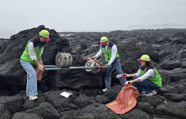 진에어가 제주 해변에서 환경 정화 활동을 진행했다. /사진=진에어