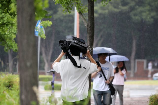 지난 13일 오후 대구 달서구 계명대 성서캠퍼스 주변에 장맛비가 쏟아지는 가운데 시민들이 발걸음을 재촉하고 있다. /사진=뉴스1