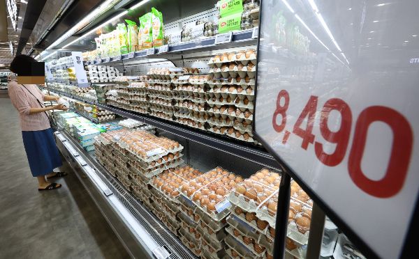 공정거래위원회가 계란값 상승을 주도한 의혹을 받는 대한산란계협회를 현장 조사했다. 사진은 지난 9일 서울 시내 한 대형마트 계란 매대에 소비자들이 계란을 고르고 있는 모습. /사진=뉴시스