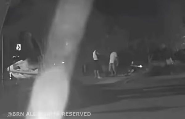 현역 군인들이 식당 반려견에 비비탄을 난사해 죽이는 사건이 발생했다. 사진은 남성들이 반려견에게 비비탄총을 쏘는 모습. /사진=비글구조네트워크 인스타그램 캡처