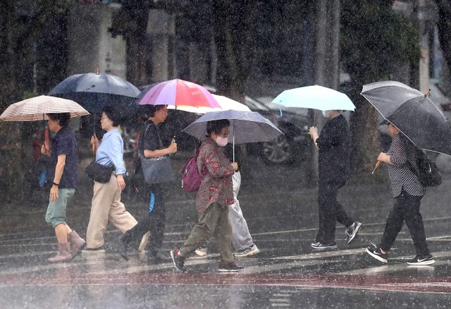 올해 첫 장마 영향으로 인천과 경기 북부 지역 등에 출근길 거센 비가 이어지고 있다. 사진은 지난 15일 대구 수성구 달구벌대로에 많은 비가 쏟아지자 시민들이 우산을 펼쳐 비를 피하며 길을 건너는 시민. /사진=뉴스1