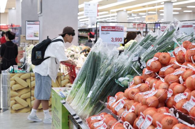 정부가 민생회복 소비쿠폰을 13조2000억원 규모로 투입하기로 발표하면서 유통가에서 쿠폰 사용처에 대한 관심이 집중되고 있다. 서울 시내 한 대형마트에서 시민들이 장을 보고 있다. /사진=뉴스1