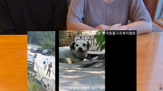 '해병대 반려견 비비탄 난사' 사건의 가해자 신상이 온라인을 통해 확산됐다. /사진='멍멍이삼촌과 동행 반려견행동교정' 유튜브 캡처] 