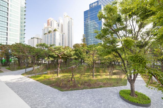 대한항공이 스카이패스 회원과 함께 환경 보호에 기여하는 '그린 스카이패스' 2차 프로젝트에 나선다. 사진은 대한항공이 1차 그린 스카이패스로 도심 숲 조성에 참여한 서울 양천구 오목공원 전경. /사진=대한항공