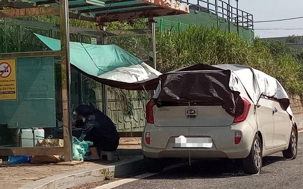 버스정류장 앞 차를 세운 뒤 해루질 장비를 늘어뜨려 놓은 여성의 모습이 공개됐다. 사진은 한 여성이 버스가 정차하는 정류장에 천막을 치고 음식을 구워 먹는 모습. /사진=보배드림 캡처
