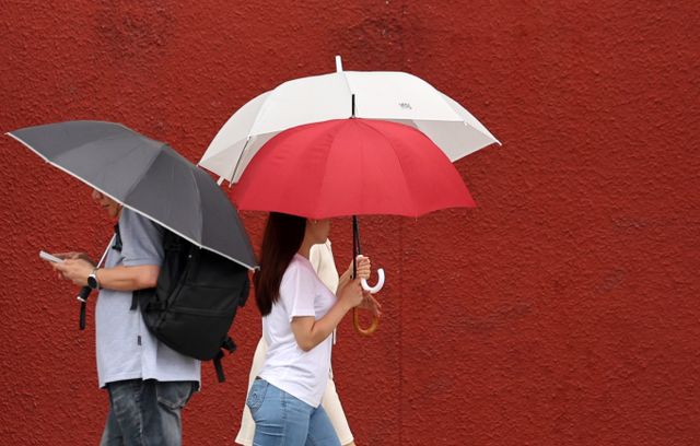  6월 마지막 일요일인 29일 중부지방 곳곳에 비가 내리고 남부지역은 체감온도가 최고 33도까지 올라 무더위가 이어지겠다. 서울 중구 세종대로에서 시민들이 우산을 쓰고 이동하고 있다. /사진=뉴시스