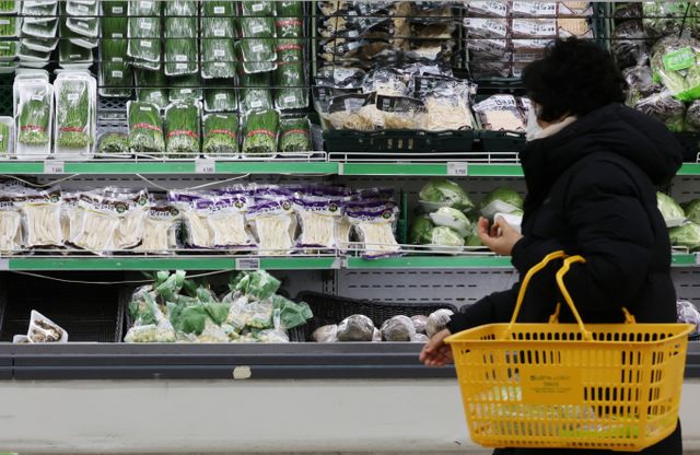 새정부 출범을 앞두고 대형마트 의무휴업 제도와 관련해 업계에서 비판의 목소리가 높다. 상거래 주도권이 오프라인에서 온라인으로 넘어간 상황에 맞지 않는다는 지적이다. 서울 한 대형마트에서 시민들이 채소를 살펴보고 있다. /사진=뉴스1