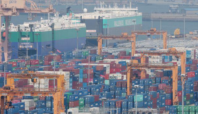 경기 평택시 포승읍 평택항 수출 야적장에 컨테이너들이 쌓여있다./사진=뉴스1