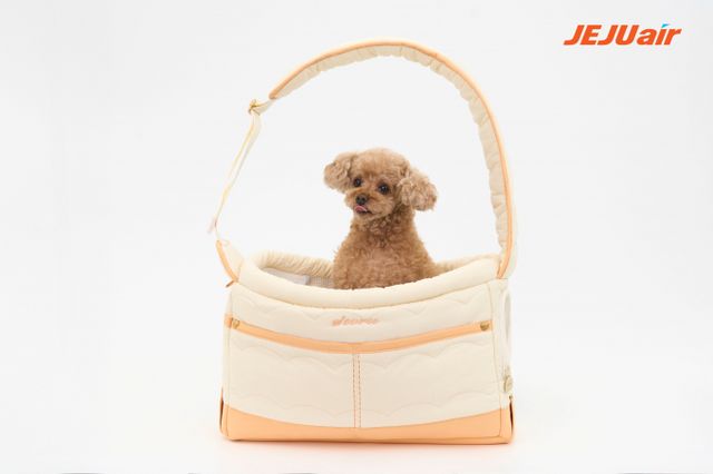 제주항공이 반려동물 운송 서비스를 확대한다./사진=제주항공
