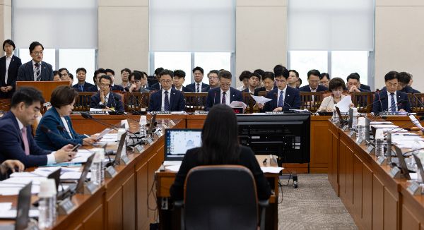 국회 행정안전위회는 여야 간 합의로 13조2000억원 규모의 '민생회복 소비쿠폰' 지급 관련 추가경정예산안을 의결했다. 사진은 박주민 더불어민주당 의원이 1일 서울 여의도 국회에서 열린 국회 행정안전위원회 전체회의에서 제안발언하고 있는 모습. /사진=뉴스1