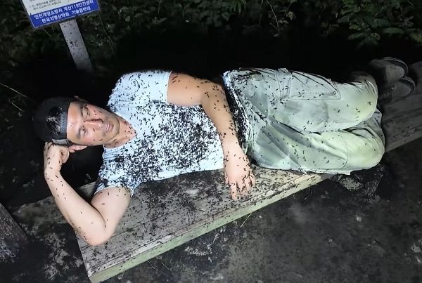 한 유튜버가 러브버그 먹방을 선보였다. 사진은 인천 계양산을 찾은 유튜버 몸에 러브버그가 달라붙은 모습. /사진=유튜브 채널 '이충근' 캡처