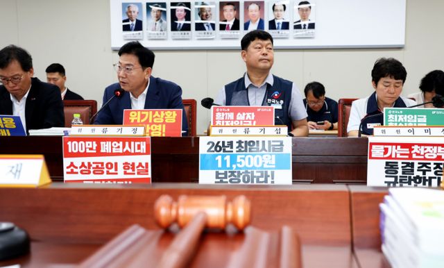 1일 세종시 정부세종청사 고용노동부에서 열린 최저임금위원회 제8차 전원회의에 참석한 류기섭 사용자위원이 발언하고 있다. / 사진=뉴스1 김기남 기자 /사진=(세종=뉴스1) 김기남 기자