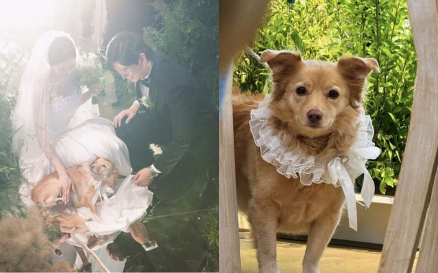 방송인 서동주가 행복한 일상을 공개했다. /사진=서동주 인스타그램